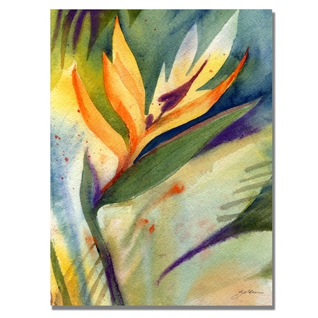 Sheila Golden 'Bird Of Paradise' Canvas Art,18x24